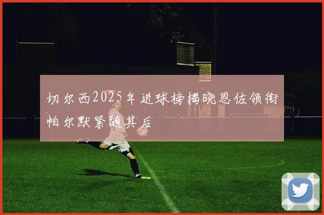 切尔西2025年进球榜揭晓恩佐领衔帕尔默紧随其后