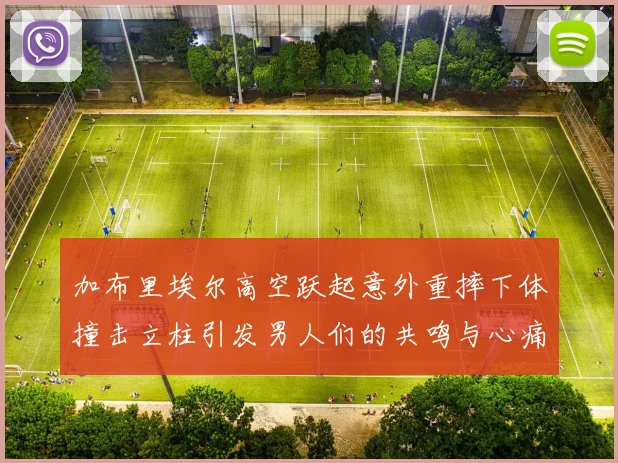 加布里埃尔高空跃起意外重摔下体撞击立柱引发男人们的共鸣与心痛