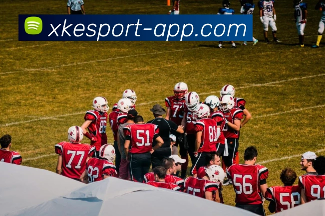 星空电竞平台生态图